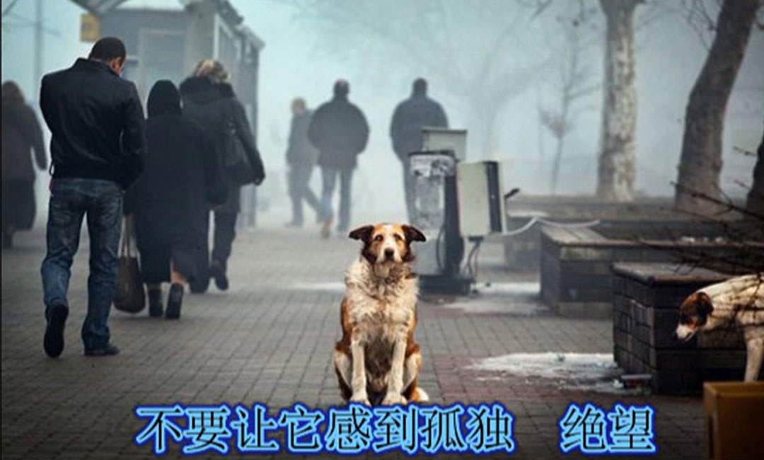 哈密哈密爱影圈微博微信转发案例